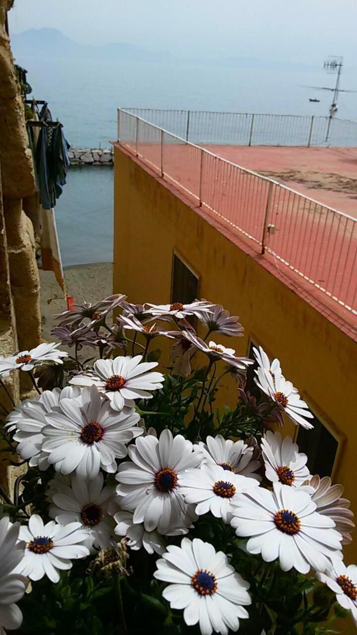 Appartamento Residenza Donn'anna *